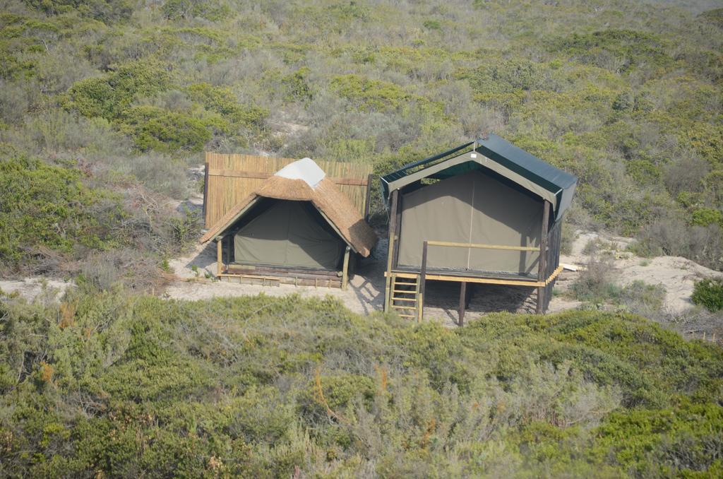 West Coast Luxury Tents Dwarskersbos Extérieur photo