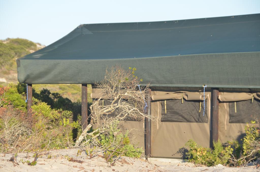 West Coast Luxury Tents Dwarskersbos Extérieur photo