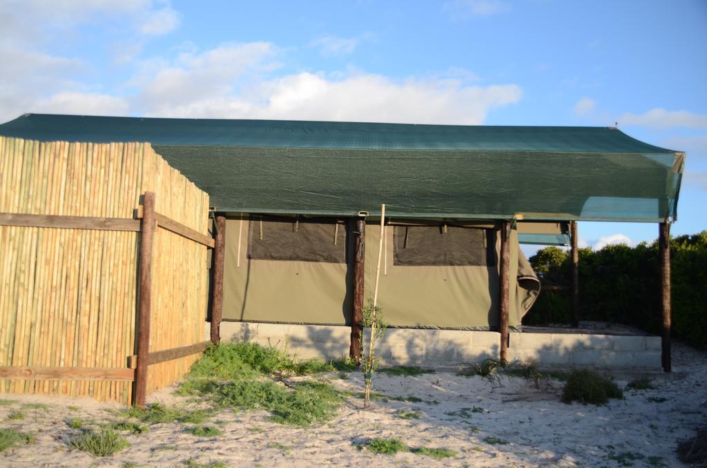 West Coast Luxury Tents Dwarskersbos Extérieur photo