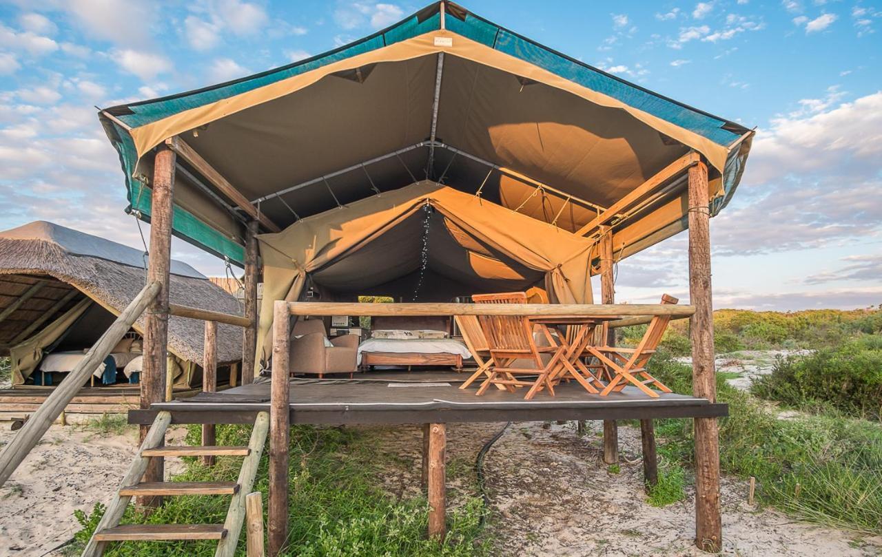 West Coast Luxury Tents Dwarskersbos Extérieur photo